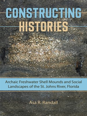 cover image of Constructing Histories